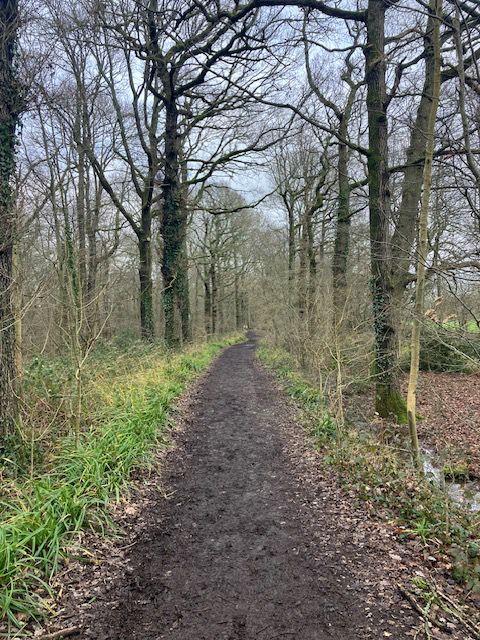 Path near Outwood
